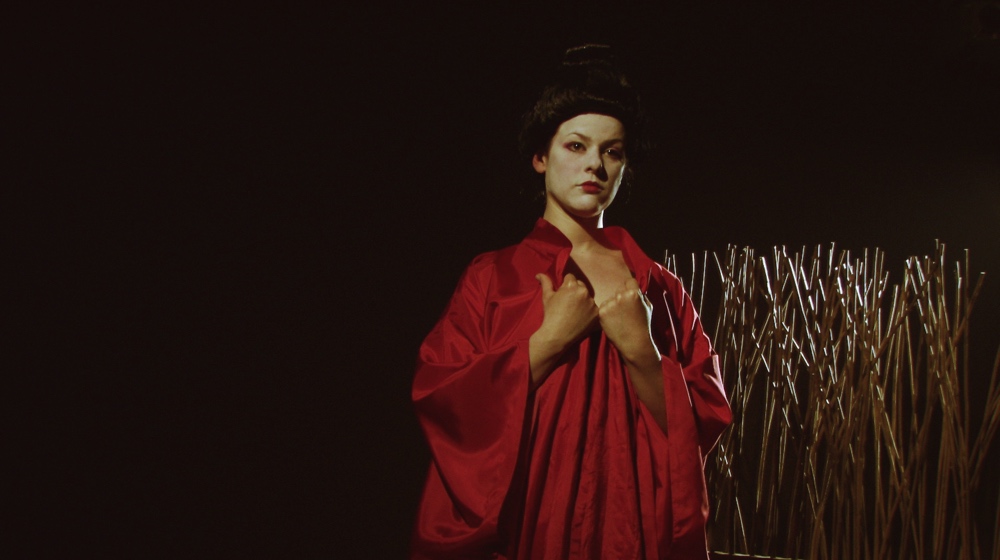 Maiko | 5 performances de Alexandre Lyra Leite