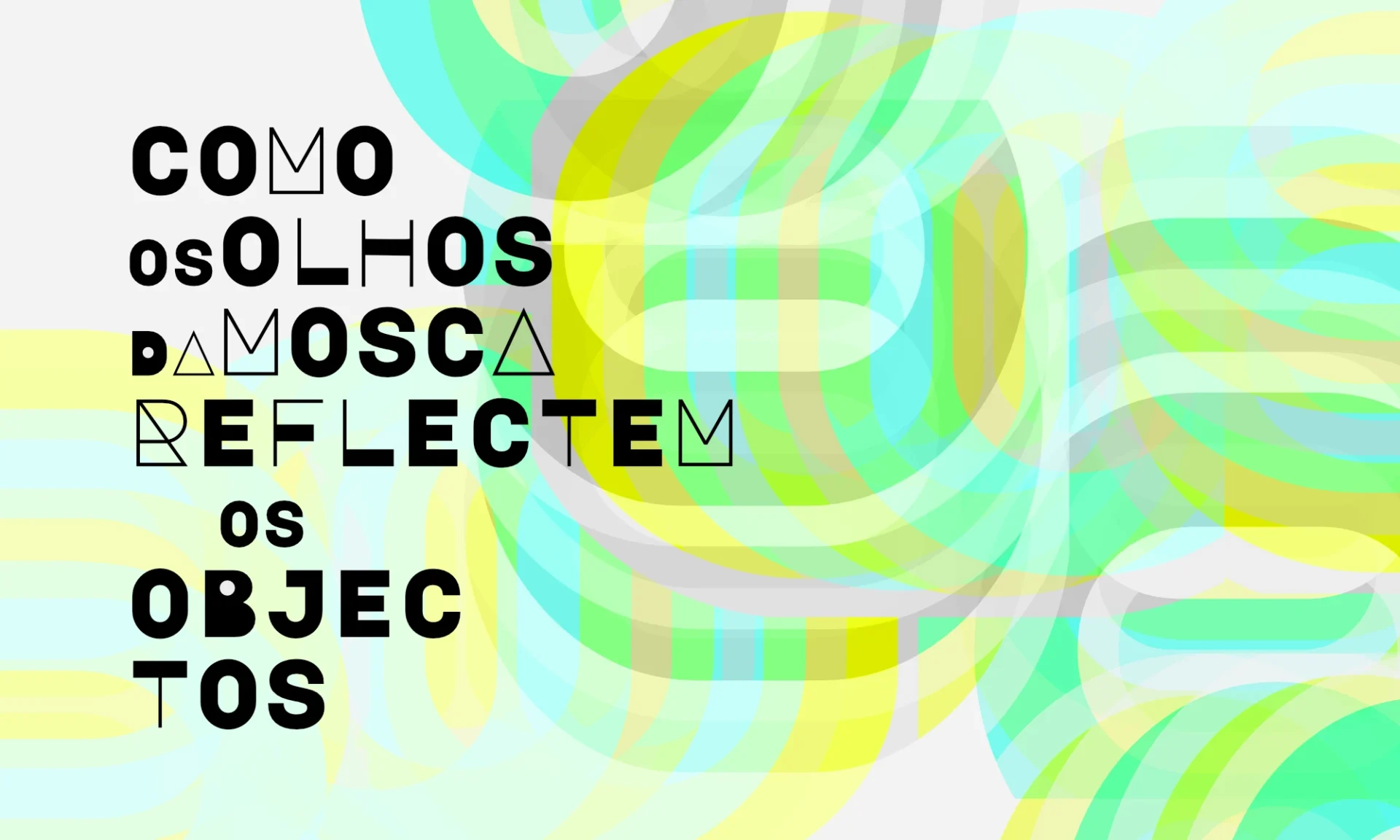 Como os olhos da mosca reflectem os objectos